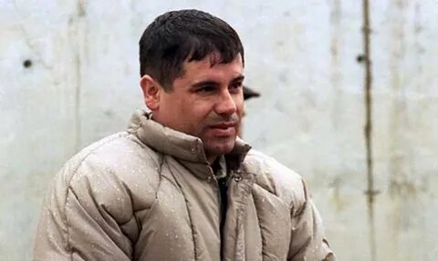 Хоакин гусман лоэра