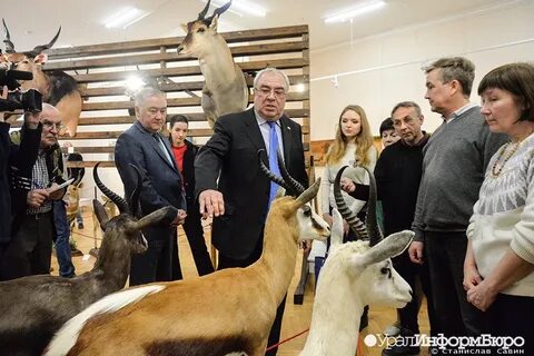 Звери екатеринбург 2024