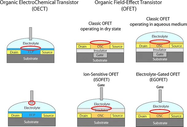 Органических транзистеры. Органический полевой транзистор. Organic field-Effect Transistor. Транзисторы OFETS. Field effect