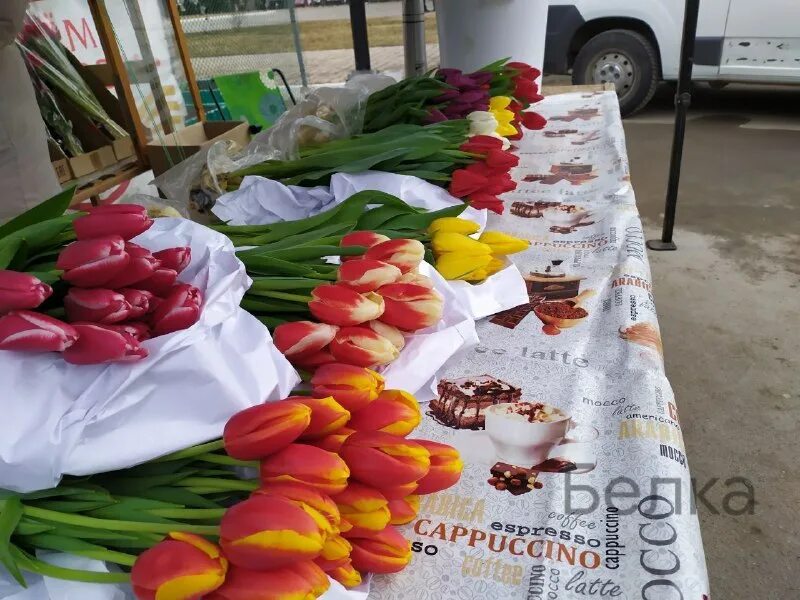 букет «8 марта». тюльпаны стоят 30 рублей за штуку у вани есть 500 рублей. с 8 марта тюльпаны. сколько стоят тюльпаны. букет лососевых пионов.