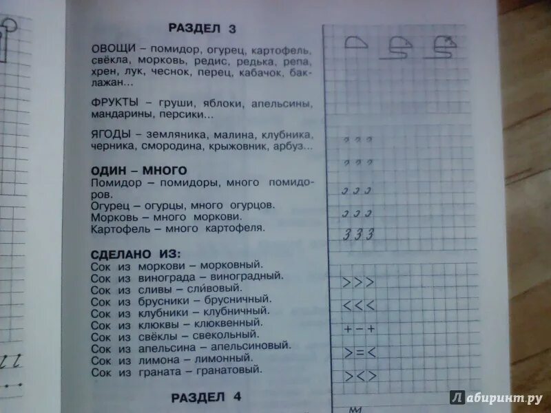 Какие вопросы при поступлении в школу. 3000 Вопросов при поступлении в школу. Узорова Нефедова 3000 вопросов. Вопросы детям при поступлении в школу. Вопросы при поступления в школу при поступлении.