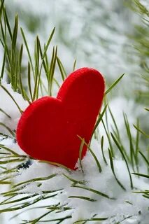 1 февраля любовь