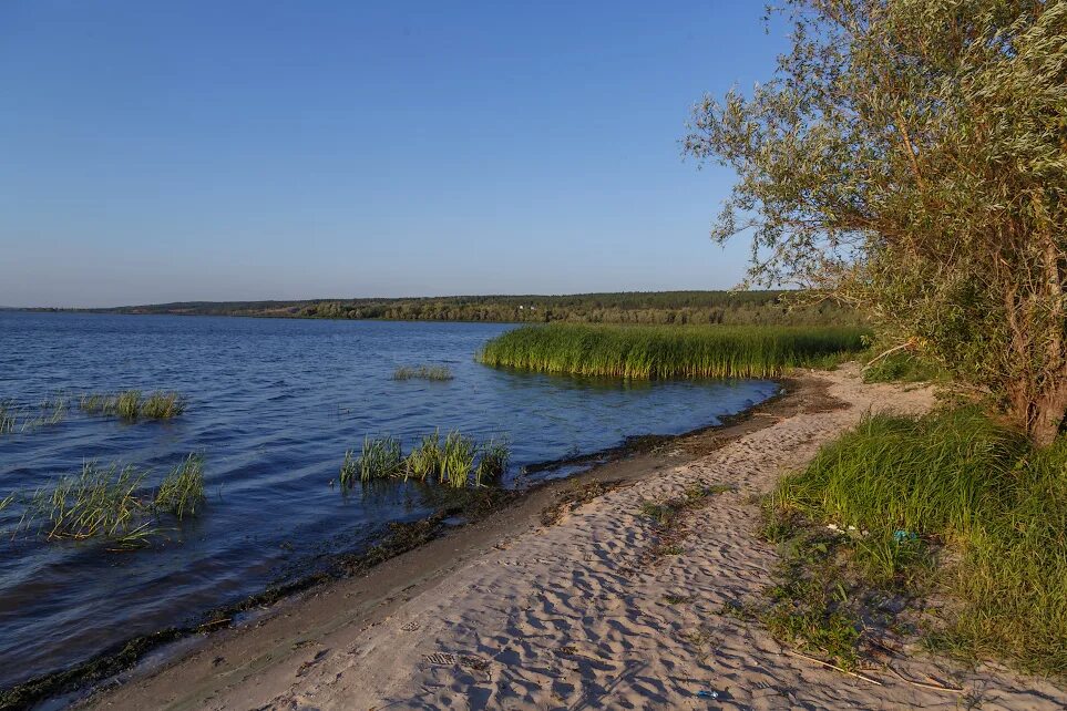 Река Терешка Воскресенский район. Село Кошели Воскресенский район. Река Терешка Саратовская область. Кошели саратовская область