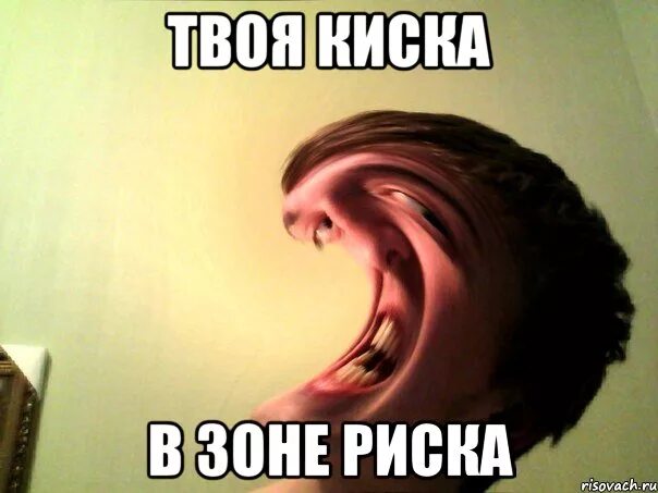 Песни киской я буду твоей. Аки мем. Анекдот про киску. Твоя киска. Песни киской я буду твоей.