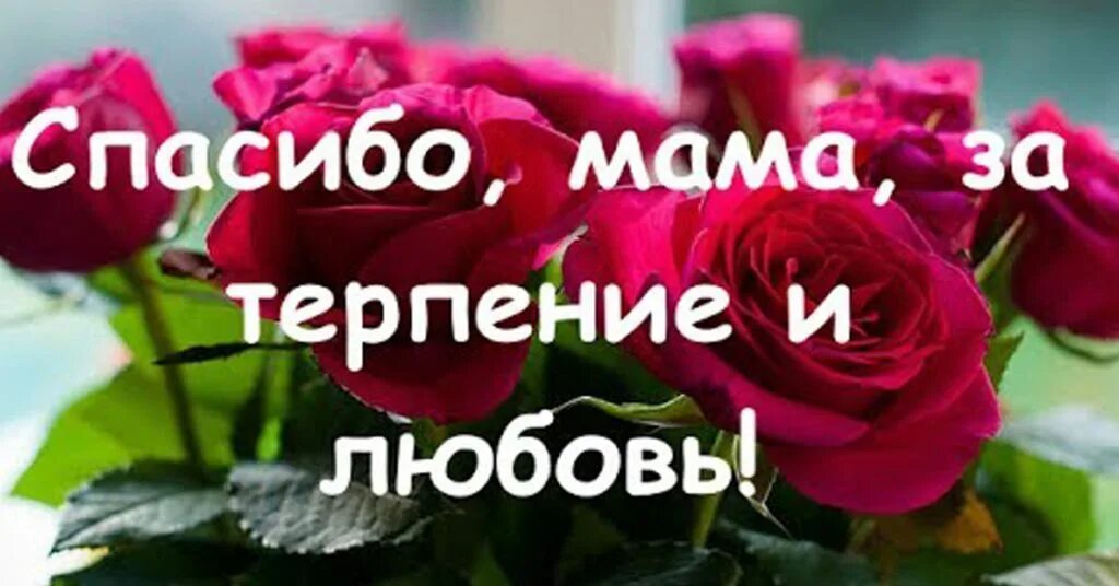 спасибо мамочка. с годовщиной отношений любимому. с полу ением диплома поздравление. слова благодарности. поздравление с получением диплома девушке.
