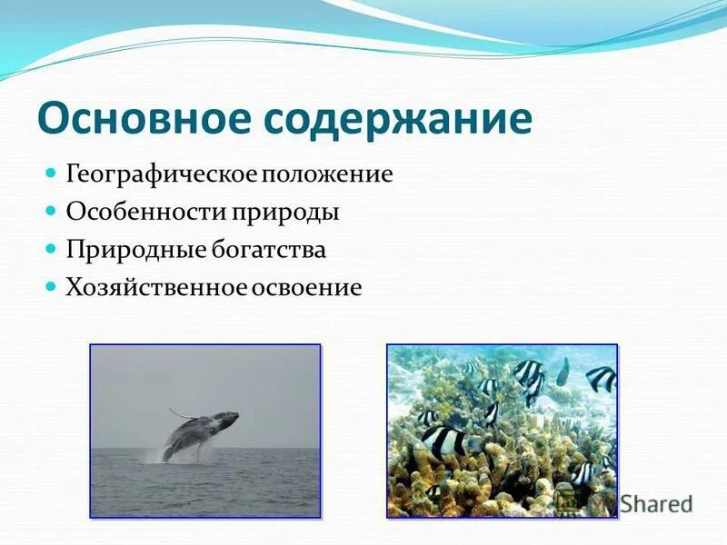 каковы основные ограничивающие факторы хозяйственного освоения пустынь. каковы основные ограничивающие факторы хозяйственного освоения пустынь. факторы влияющие на видовой состав фитоценоза. хозяйственная деятельность лесостепи. видовой состав фитоценоза.