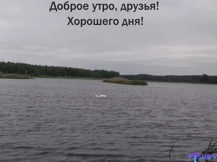 Доброе утро рыбакам прикольные