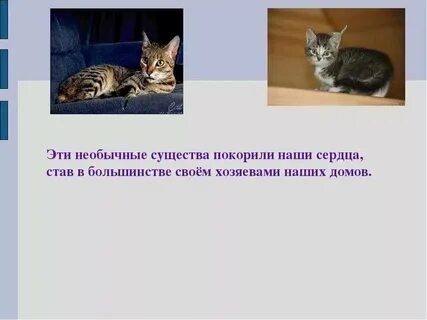 Какие повадки животных
