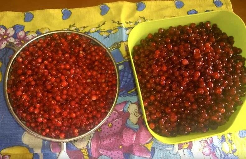 Брусника на зиму без варки. Моченая брусника. брусника с сахаром на зиму без варки. отвар брусники. хранение брусники в сахаре.