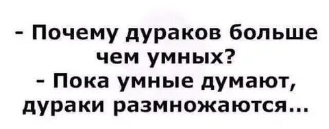 Думаешь ты умный дам тебе
