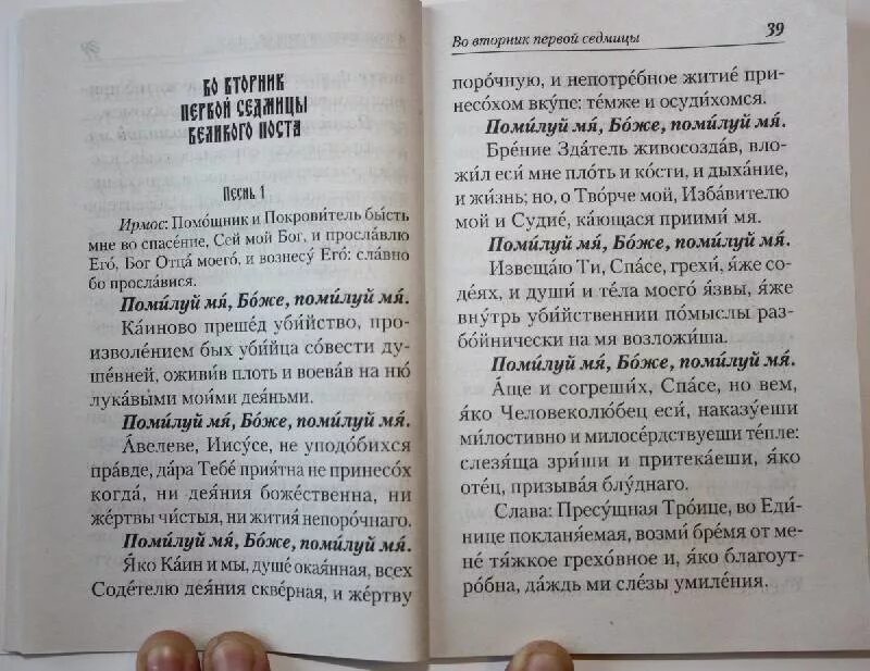 Великий покаянный канон. Молитва о покаянии Критского. Молитва канон Критского. Молитва Андрею Критскому в пост. Молитва андрея критского текст