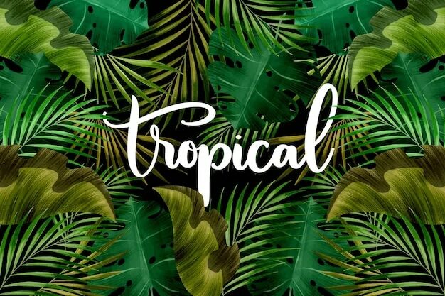 Тропики слово. Буквы тропики. Название со словом тропический. Игра Tropical Words.