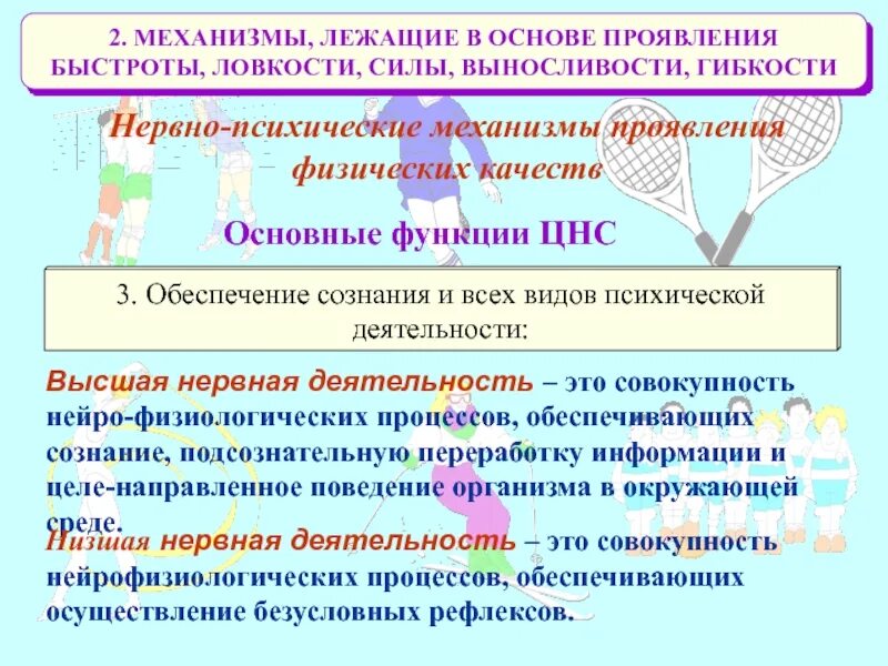 Механизмы проявления быстроты. Механизмы, обеспечивающие проявления силы. Физиологические основы проявления быстроты. Проявление ловкости. Проявить обеспечивать