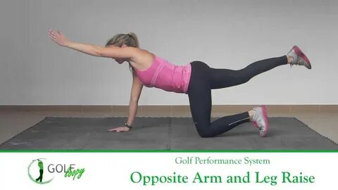An arm and a leg meaning