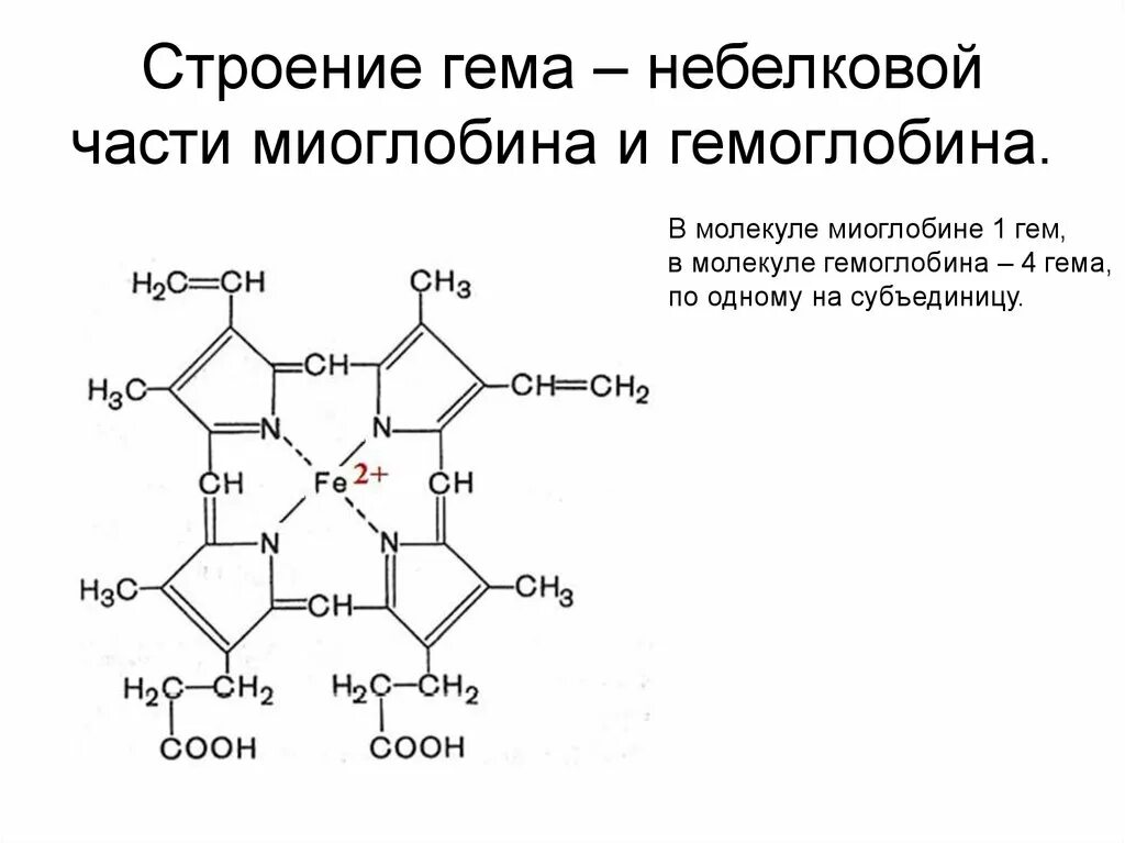 Гем биохимия. Строение гемоглобина и миоглобина. Миоглобин строение гем. Строение гемоглобина и миоглобина схема. Гем строение биохимия.