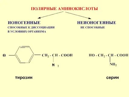 Радикалы аминов