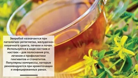 Прием травяных настоев способен