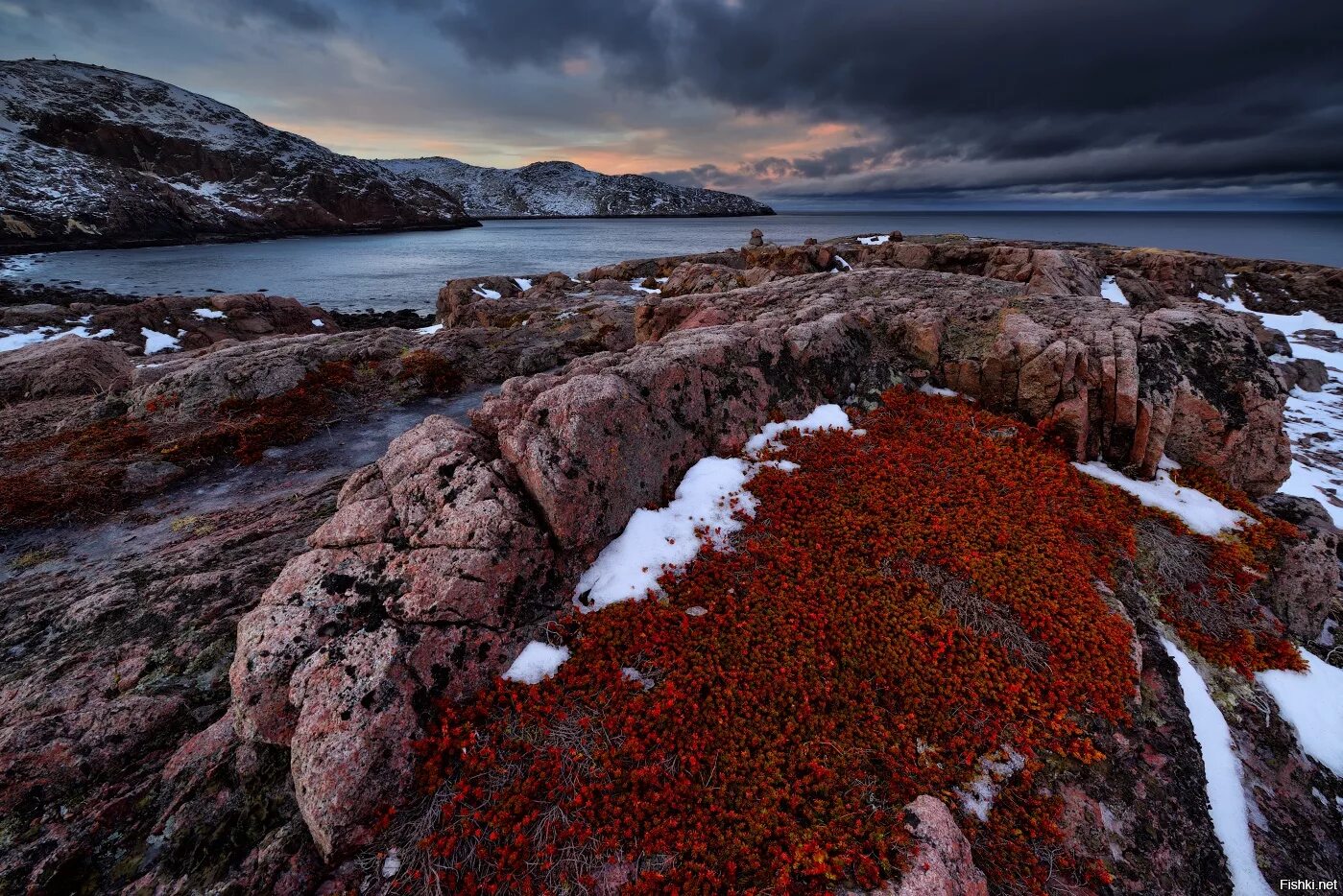 териберка северный ледовитый. баренцево море северный. мурманск берег баренцева моря териберка. кольский полуостров баренцево море териберка. кольский полуостров баренцево море.