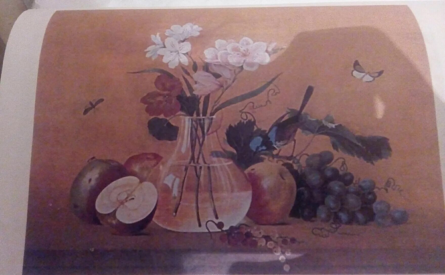 Ф толстой картина цветы фрукты. Толстой художник цветы фрукты птица. Цветы фрукты птица картина толстой. Картина ф Толстого цветы фрукты птица.