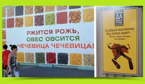 Рожь пшеница чечевица чечевица