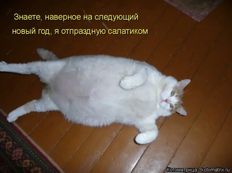 Наверное следующую. Наверное следующую. Наверное следующую. Так приятно когда в памяти есть моменты вспомнив которые на лице. Может быть в следующей жизни.