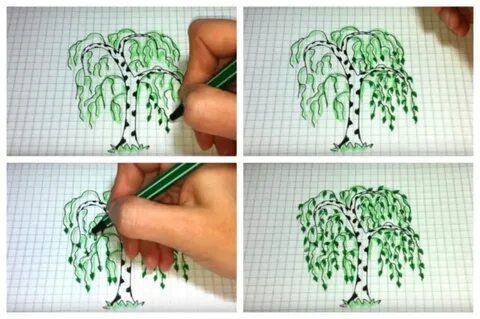 Рисуем березу поэтапно