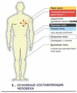 Где находятся духи