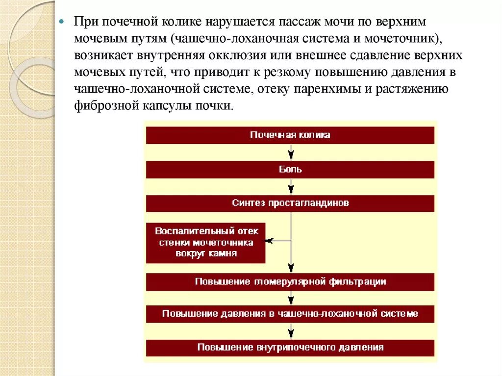 Пассаж мочи. Почечная колика шкала боли. Почечная колика алгоритм. Доврачебная помощь при почечной колике. Патогенез почечной колики.