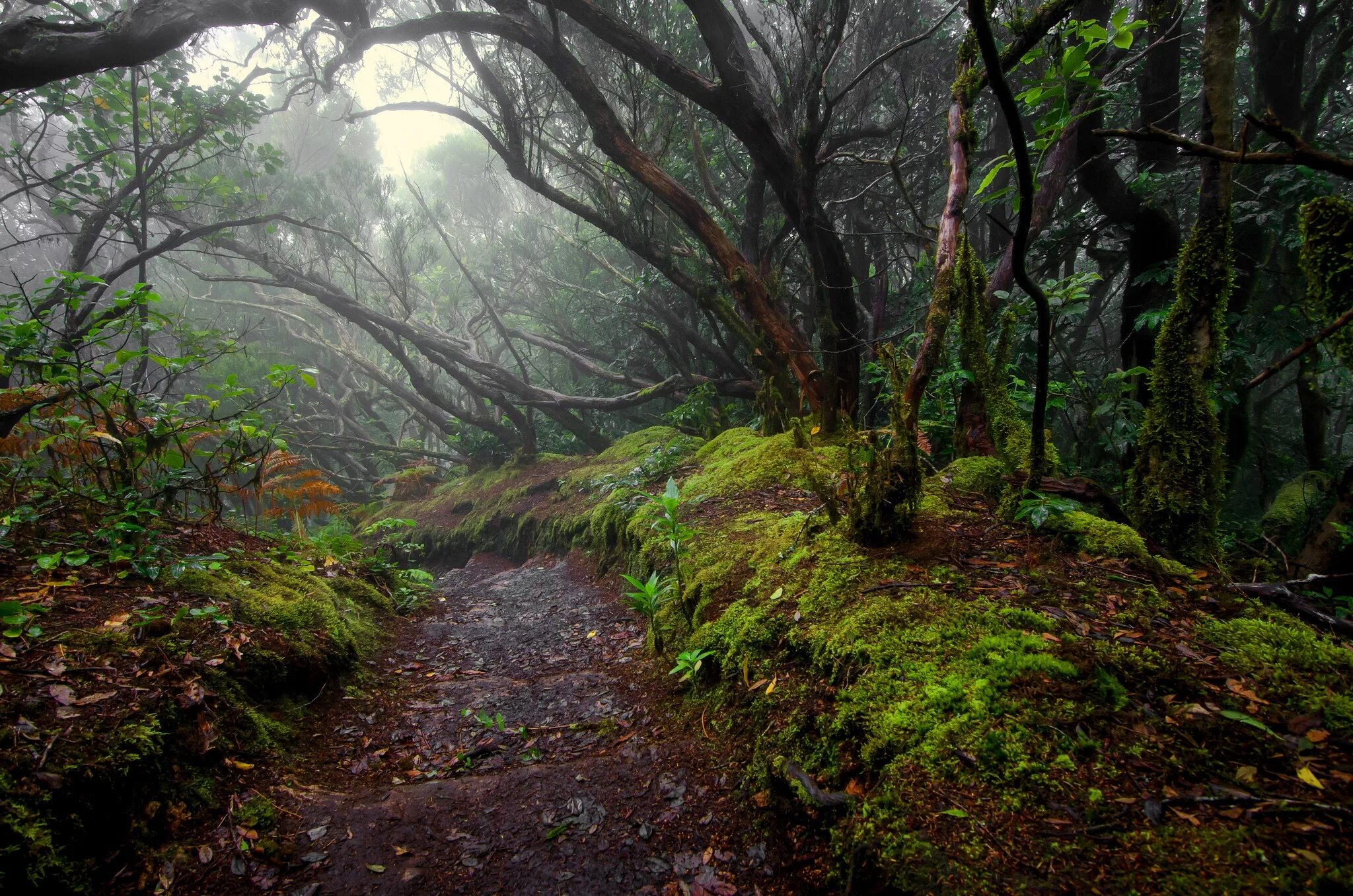 Море вдали покрылось багрянцем навстречу солнцу поднималось. Батарейный командир казался. Точка с запятой ставится. Между тем ночь приближалась и росла. Мне попалась какая то неторная заросшая дорожка.