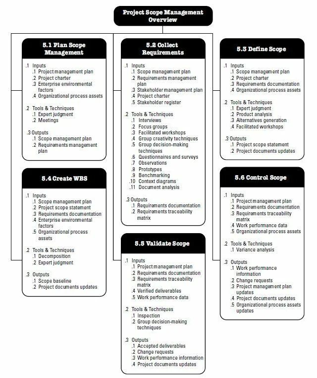 Overview of management