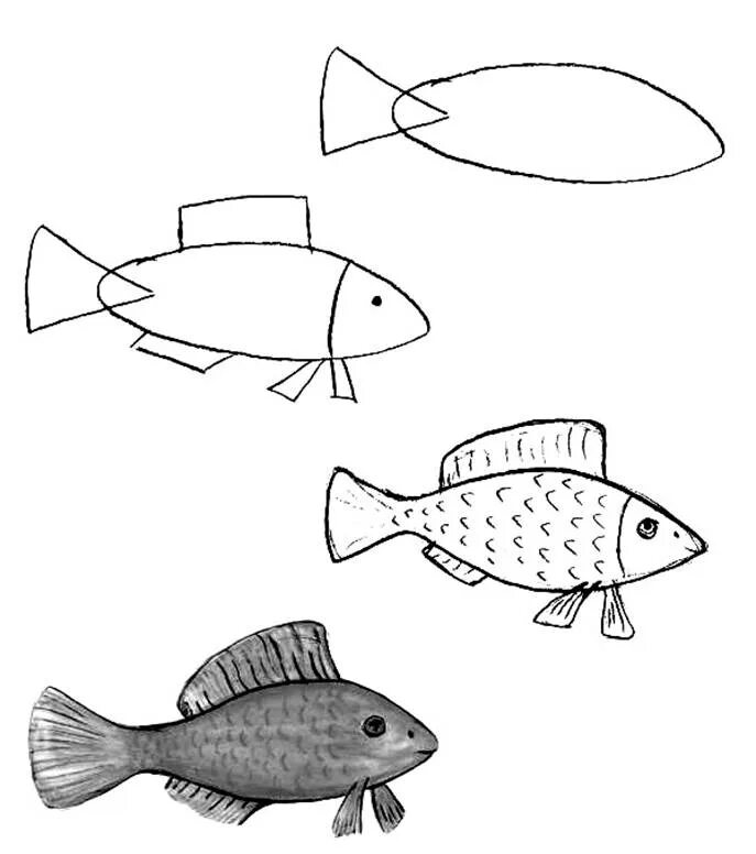 Этапы рисования рыбки. Рисование рыбы для дошкольников. Поэтапное рисование рыбы для детей. Поэтапное рисование рыбки для детей. Нарисовать рисунок рыбу