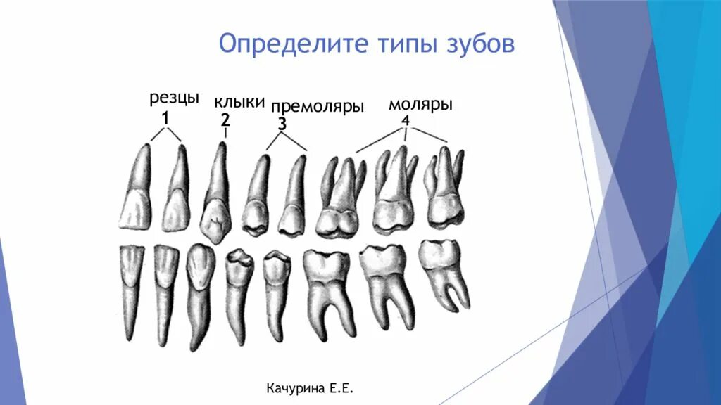 Как отличить 1 от 4