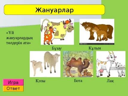 Әйеліммен бір түндік қарым-қатынас