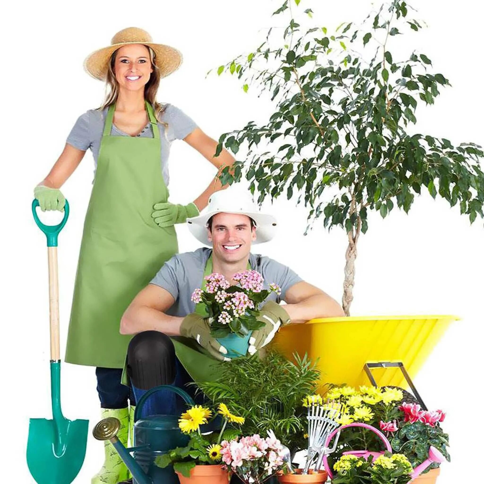 садоводы и огородники. урожай. садовник. Vertera гумин. хитрости огородника.