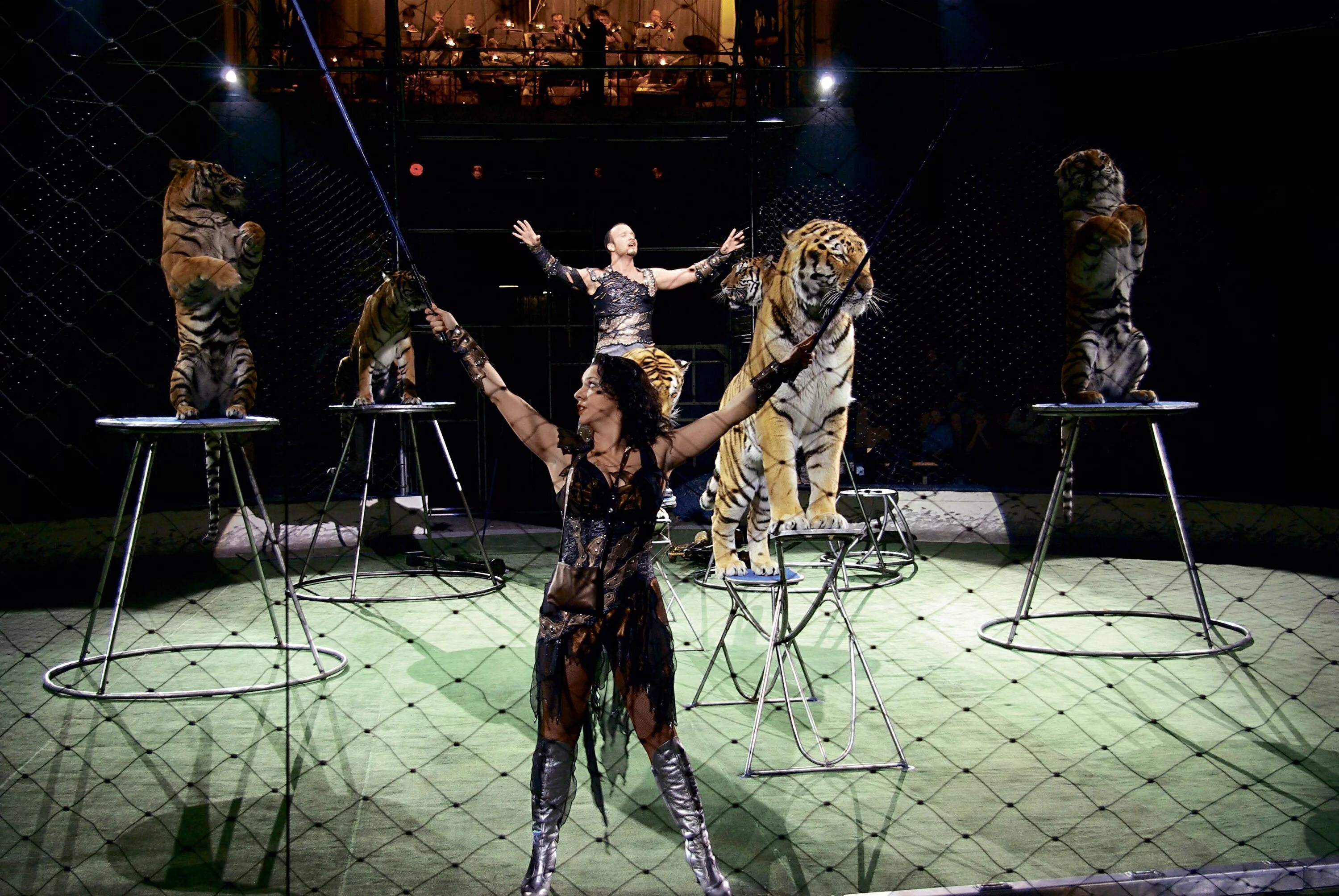 Последнее выступление багдасарова. Цирк магнитогорск. Цирк магнитогорск. Вчерашнее выступление багдасарова. Багдасаров семен аркадьевич.