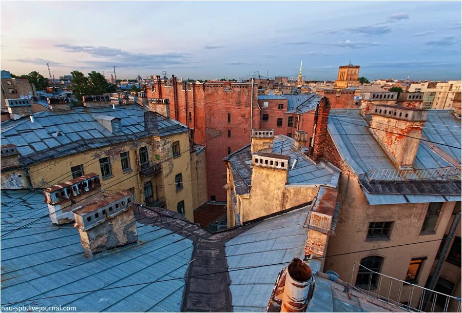 Петроградка в питере крыши. Экскурсия по крышам питера на театр миронова. Театр на крыше санкт петербург. Театр на крыше санкт петербург. Крыши васильевского острова.