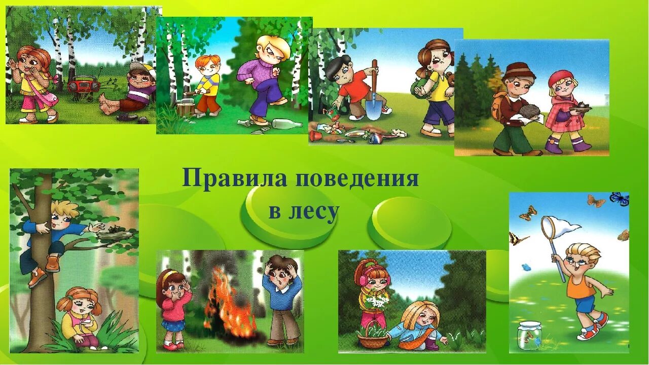 Без этого нельзя можно нельзя. Правила поведения в Дему. Правила поведения в лесу для детей. ПРАВИЛАПОВЕДЕНИЕ В лесу. Правило поведение в лесу для детей.