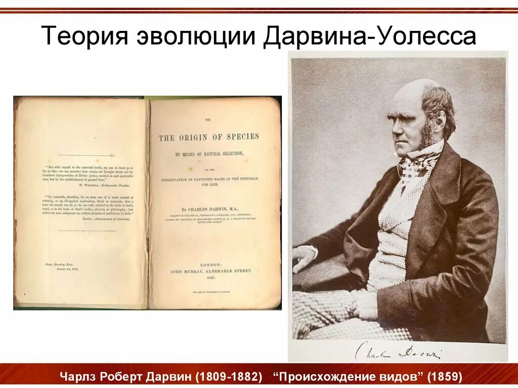 Гипотеза дарвина. Эволюционное учение Дарвина 1859. Теория развития Дарвина. Эволюционная теория Дарвина. Дарвиновская теория эволюции.