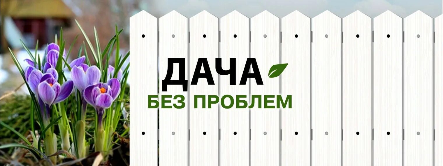 Дача без проблем. Дача без проблем