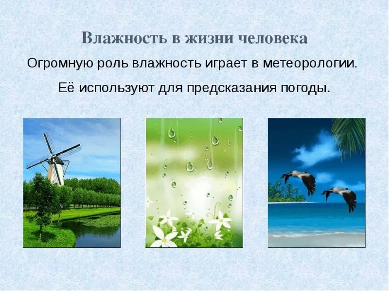 Какую роль в воздушном. Роль влажности воздуха в жизни человека. влажность в жизни человека. влажность воздуха в жизни человека. примеры влажности в жизни человека.