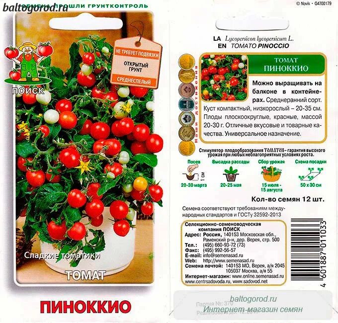 Помидоры пиноккио описание. Помидоры Пиноккио. Семена томат Пиноккио агрони. Томат Пиноккио характеристика. Томат Пиноккио характеристика и описание сорта.