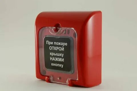 Пам 3 1