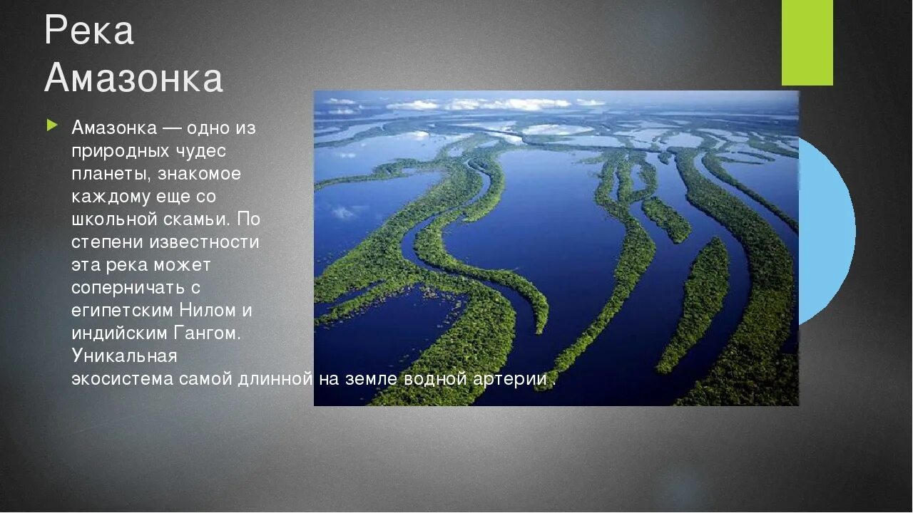 Амазонка река Укаяли. Проект река Амазонка. Река Амазонка презентация.