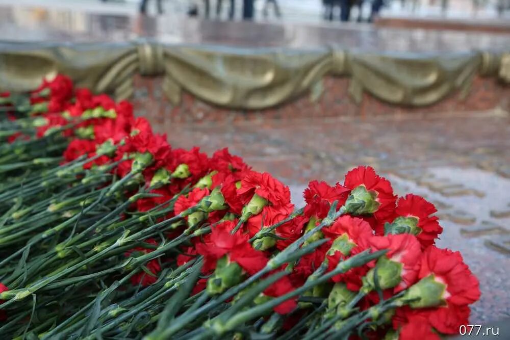 Дни памяти отечества. Возложение цветов. Возложение цветов 23 февраля. Память защитников Отечества. Возложение на победе 23 февраля.