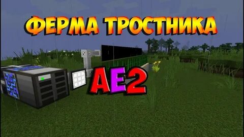 Auto farm