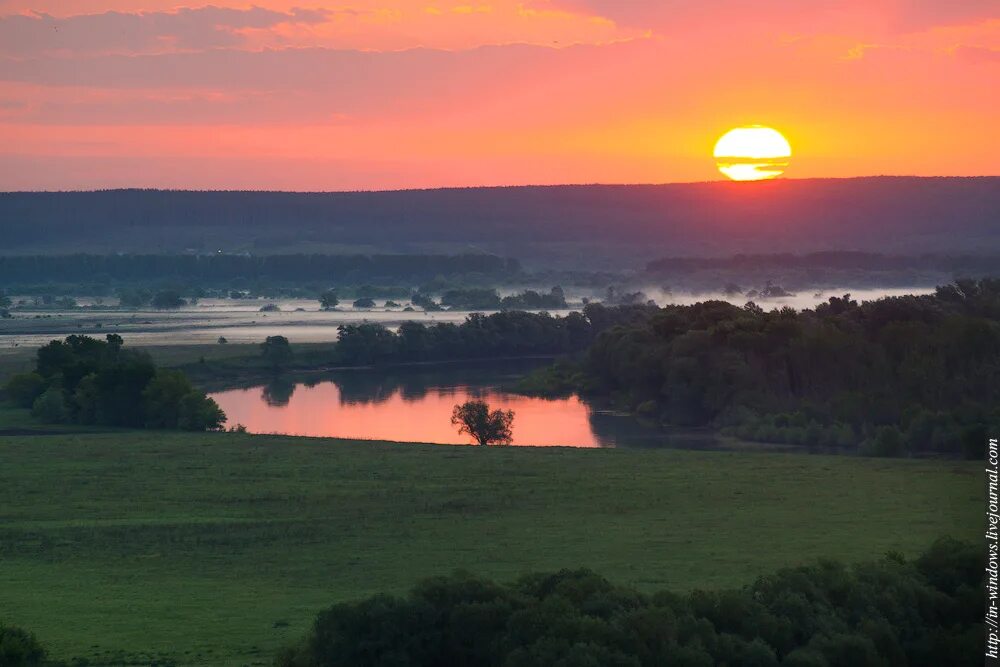 природа воронежского края презентация. растительный мир воронежской области лиски. край родной воронежский. пейзажи воронежского края. лесостепь воронежской области.