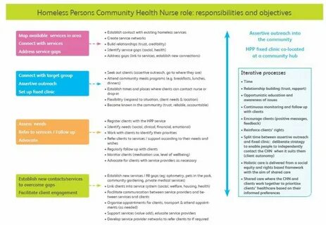 The community health nurse role.