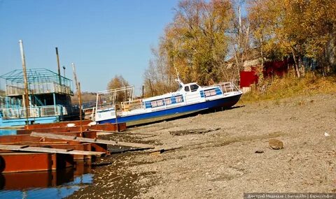 Затон барнаул