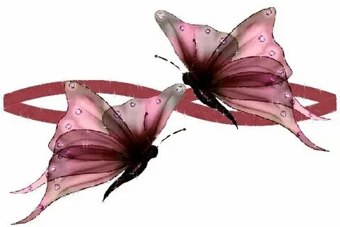 Papillon rose