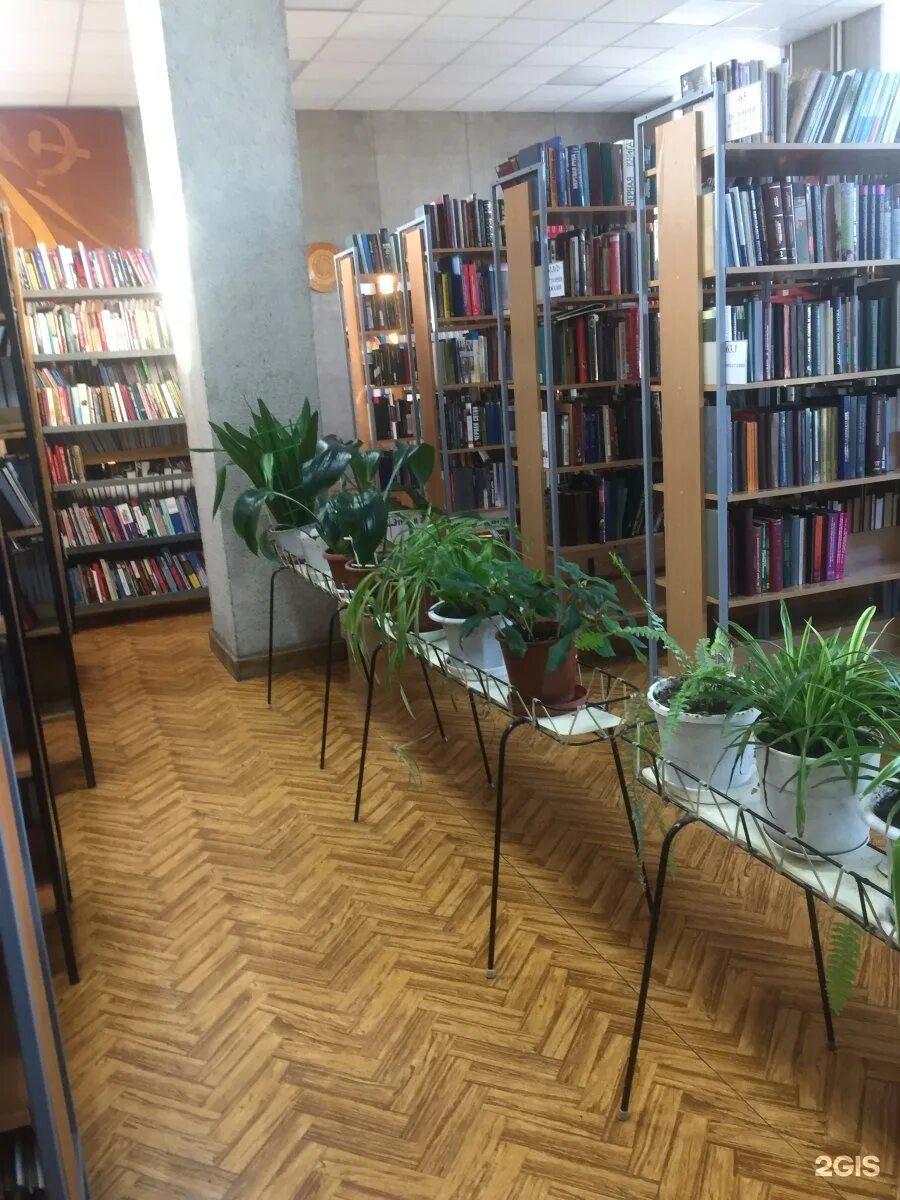 Ремонт в библиотеке. Я шишкова. В. Краевая библиотека барнаул. Шишкова барнаул.